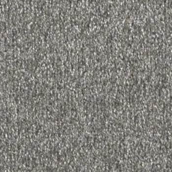 Draufsicht auf Vorwerk Celina 55A7 schmelz Teppichboden mit Preisschild 89,91 €/m²